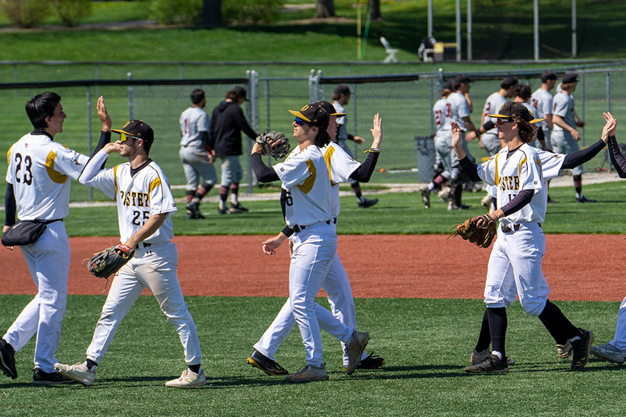 Baseball Players Giving High Fives